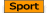 damenfussball